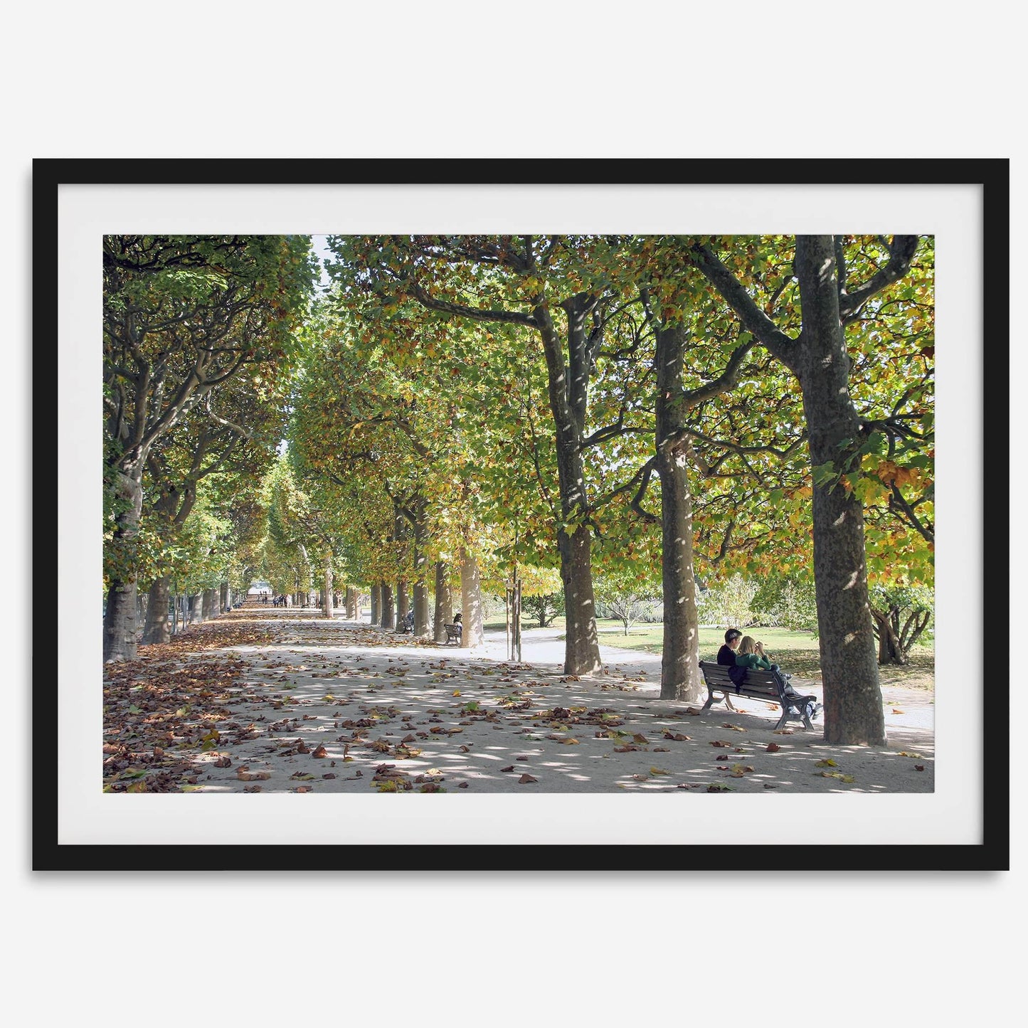 Jardin des Tuileries