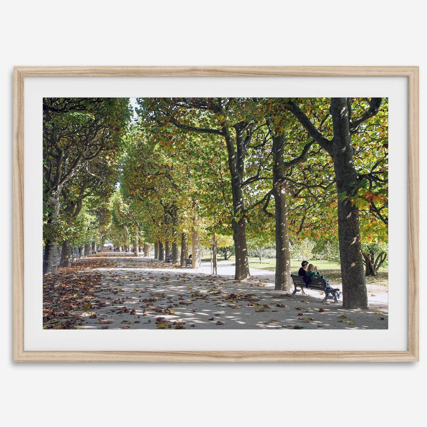 Jardin des Tuileries