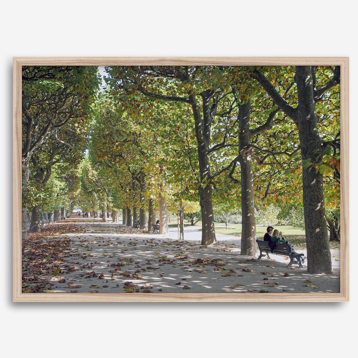 Jardin des Tuileries