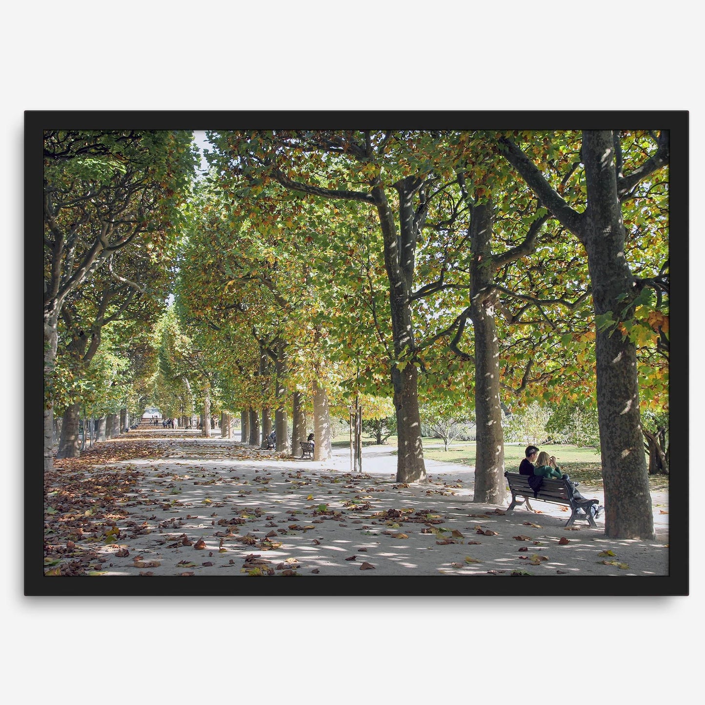 Jardin des Tuileries
