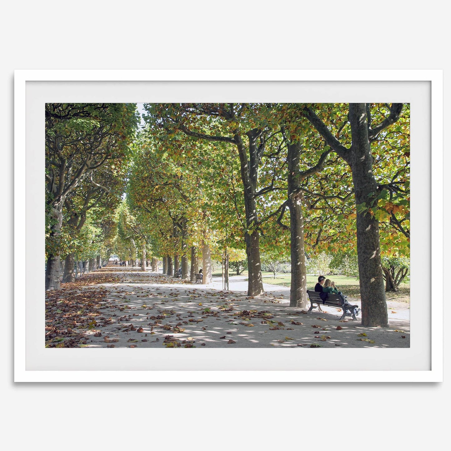 Jardin des Tuileries