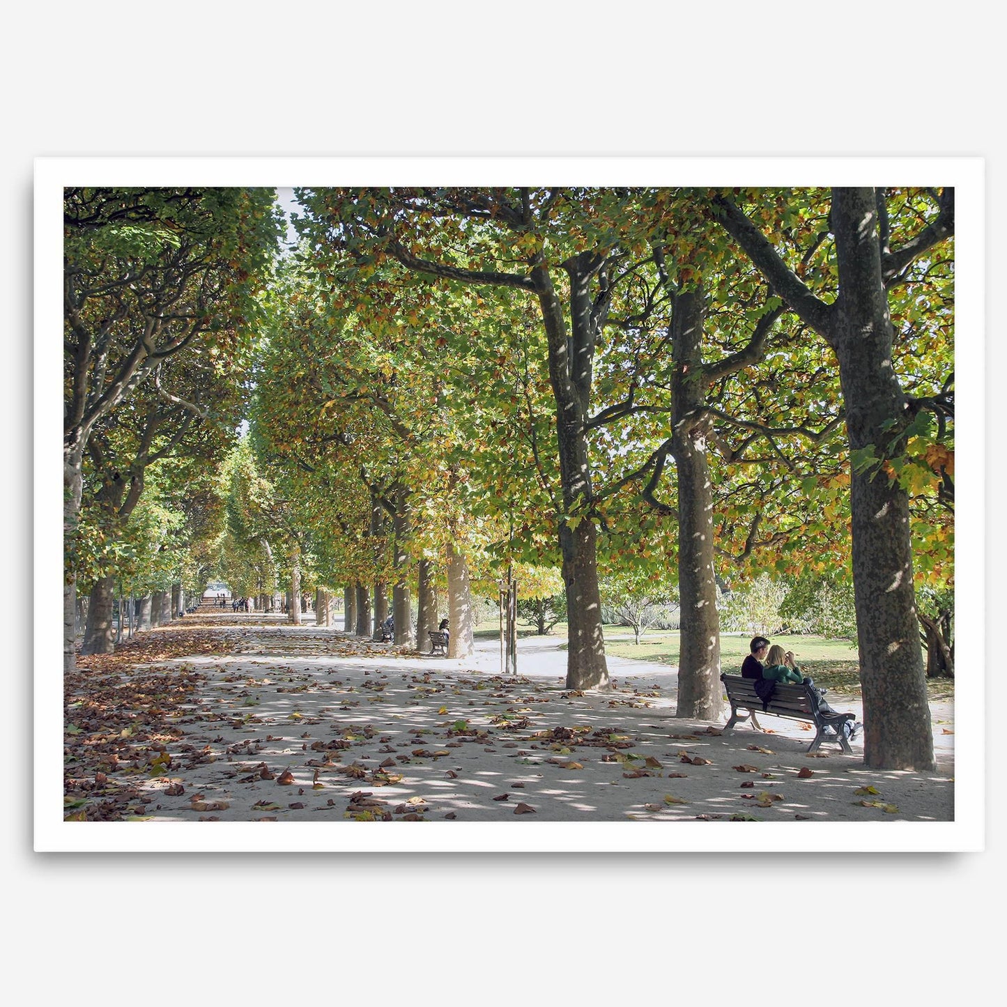 Jardin des Tuileries