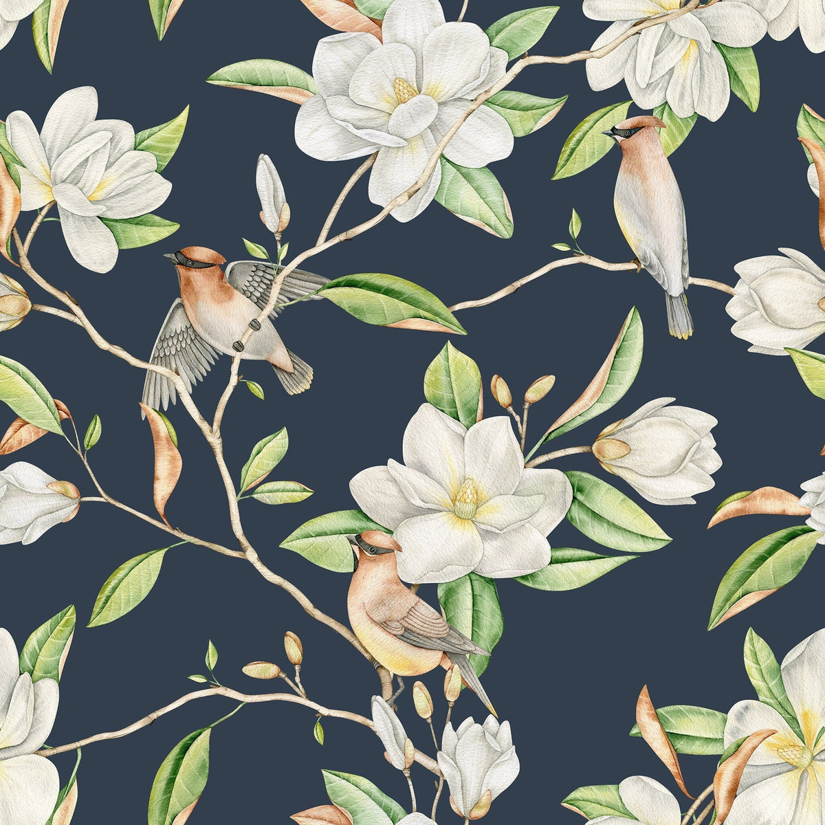 Blooming Magnolia Flowers Wallpaper on Blue Background