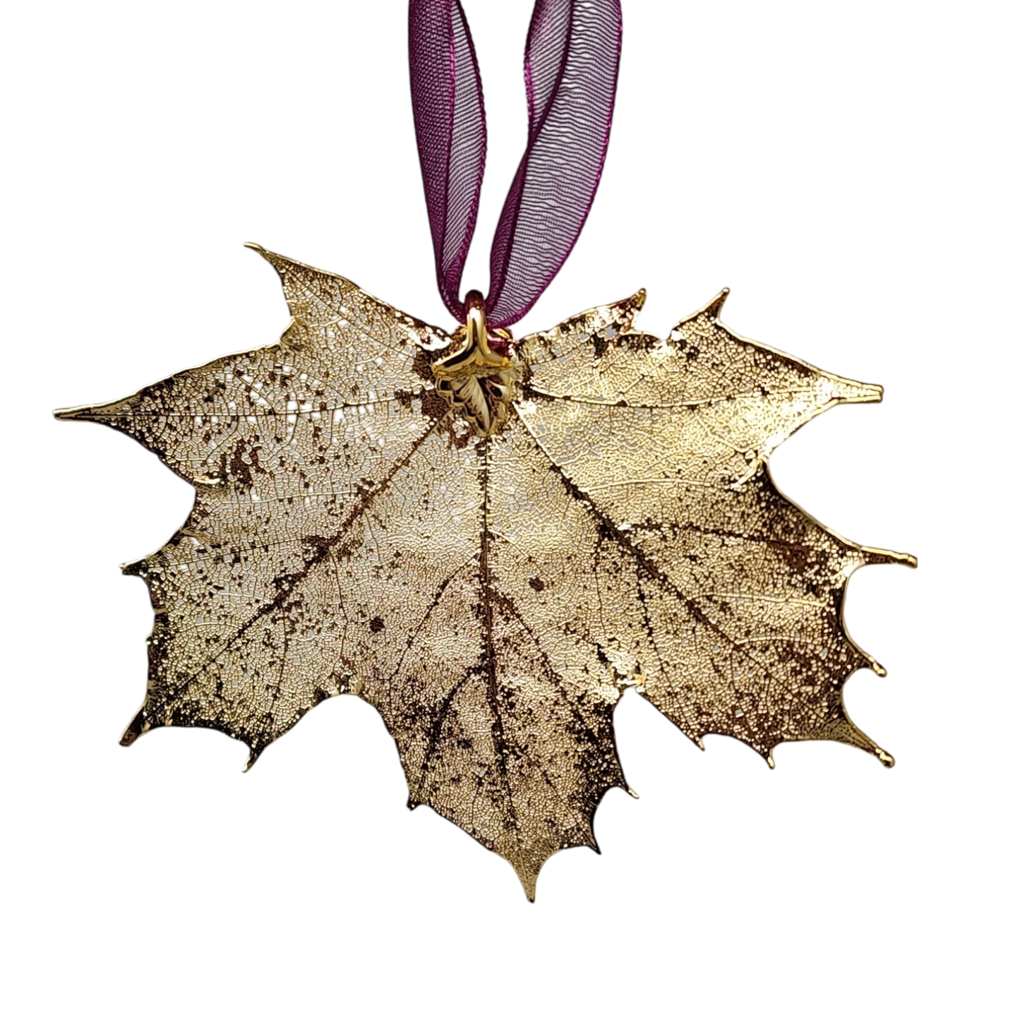 Gold Sugar Maple Leaf with Sheer Ribbon Ornament