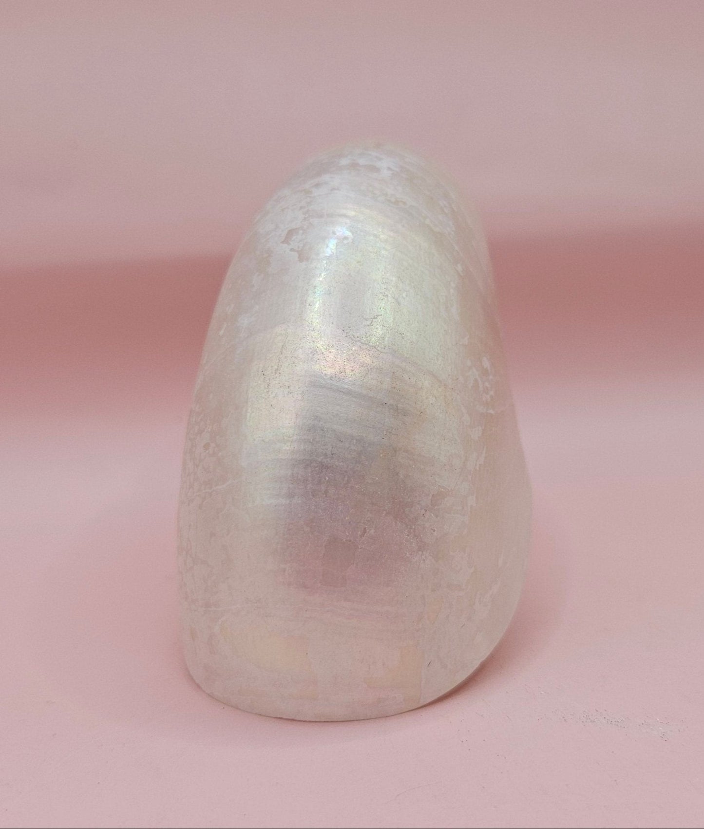 Polished Pearl Nautilus Shell – Elegant Ocean Décor (3.75")