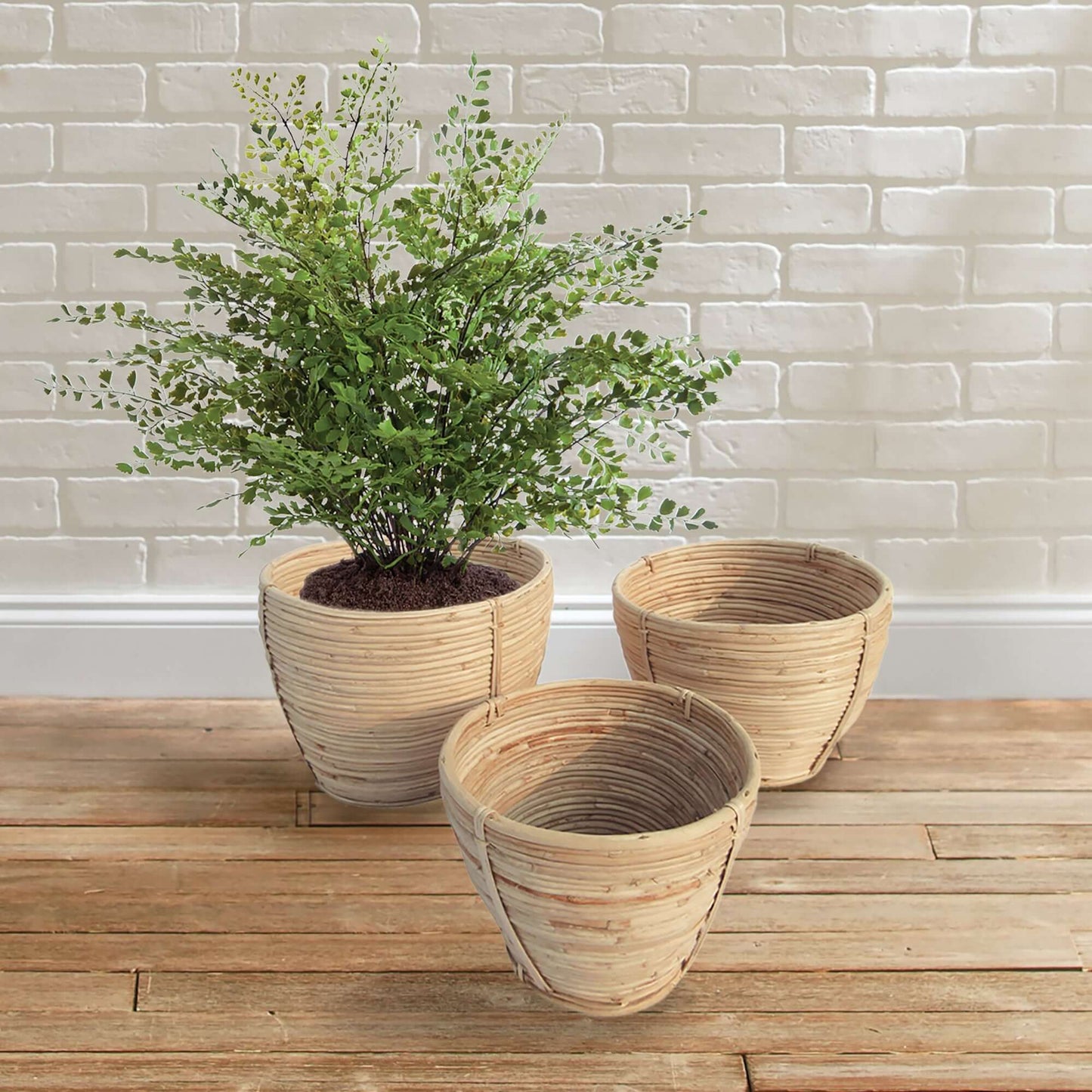 Rattan Storage Baskets for Rustic Organization (Set of 3)