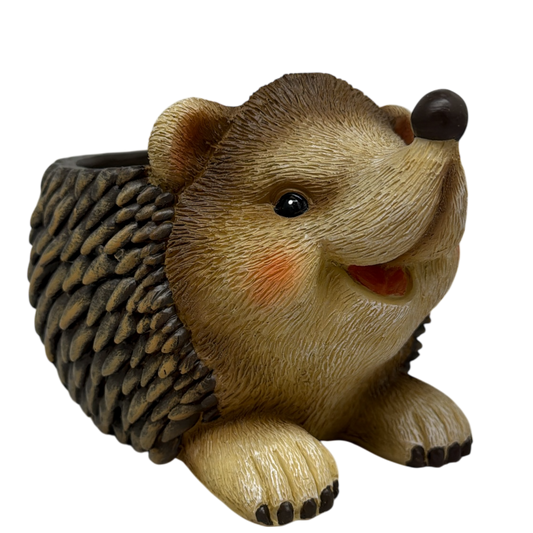 Hedgehog Planter