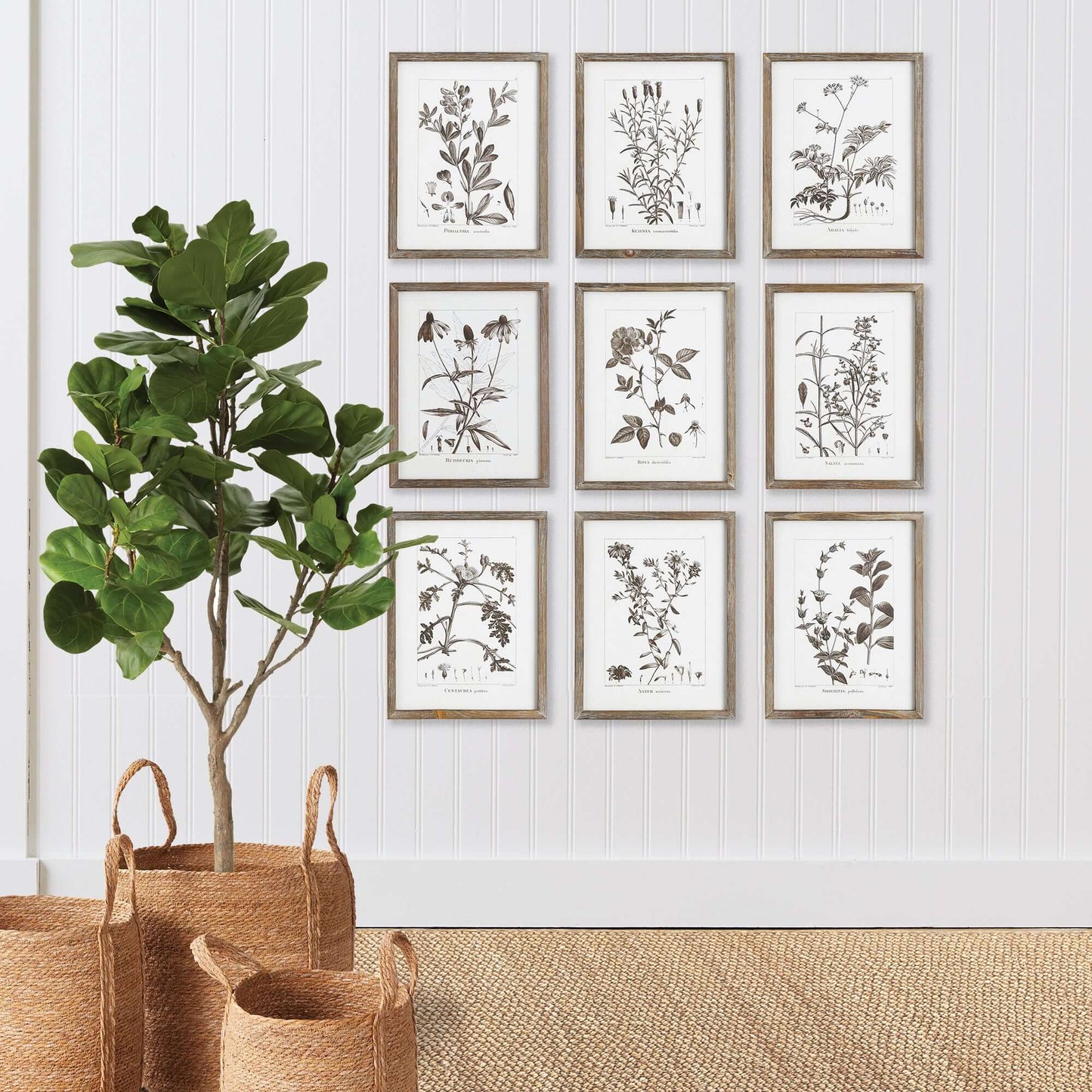Rustic Botanical Sepia Wall Art Prints (Set of 9)