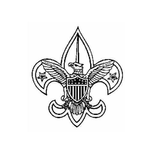 Scout Deluxe Awards and Flag Display Case