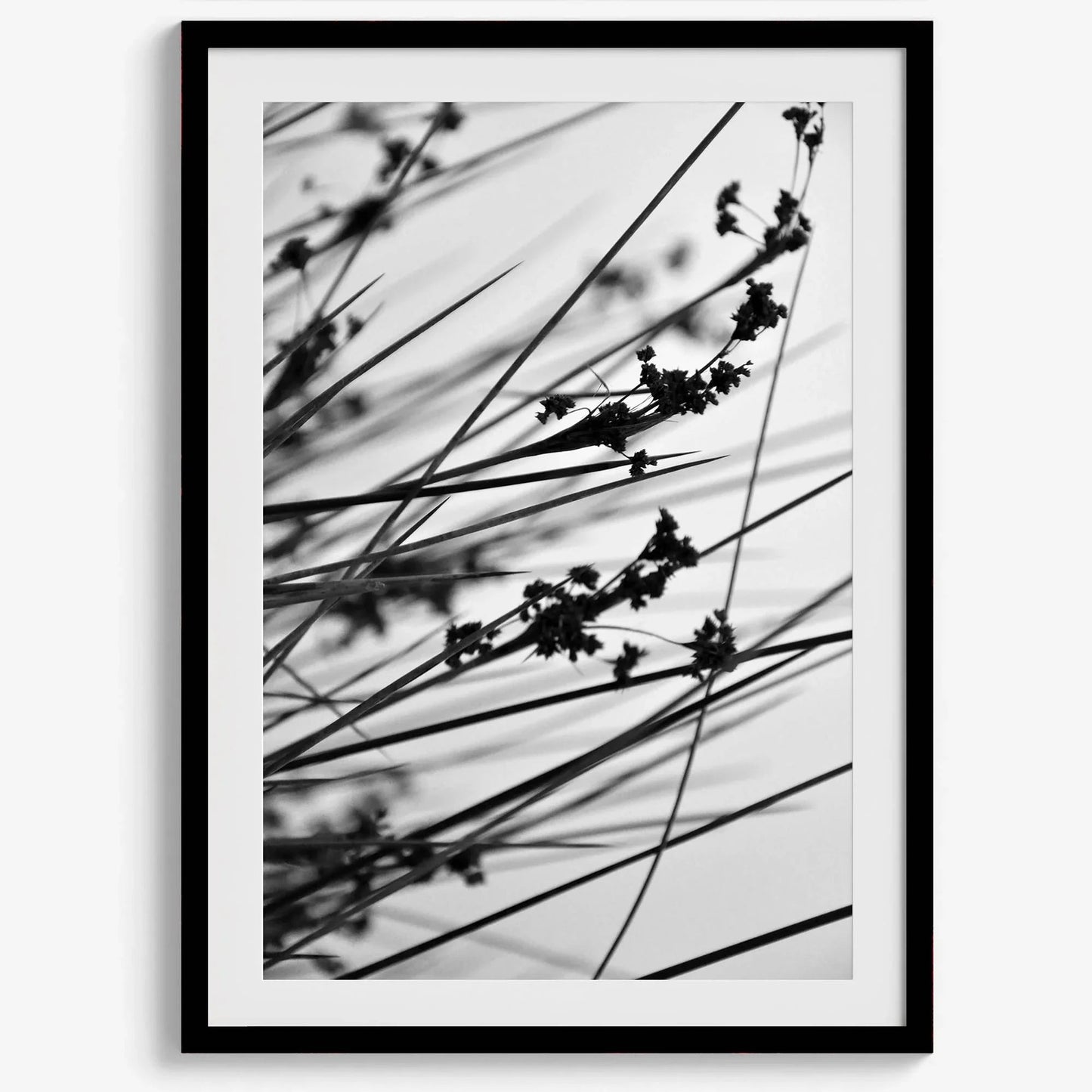 Delicate Geometry