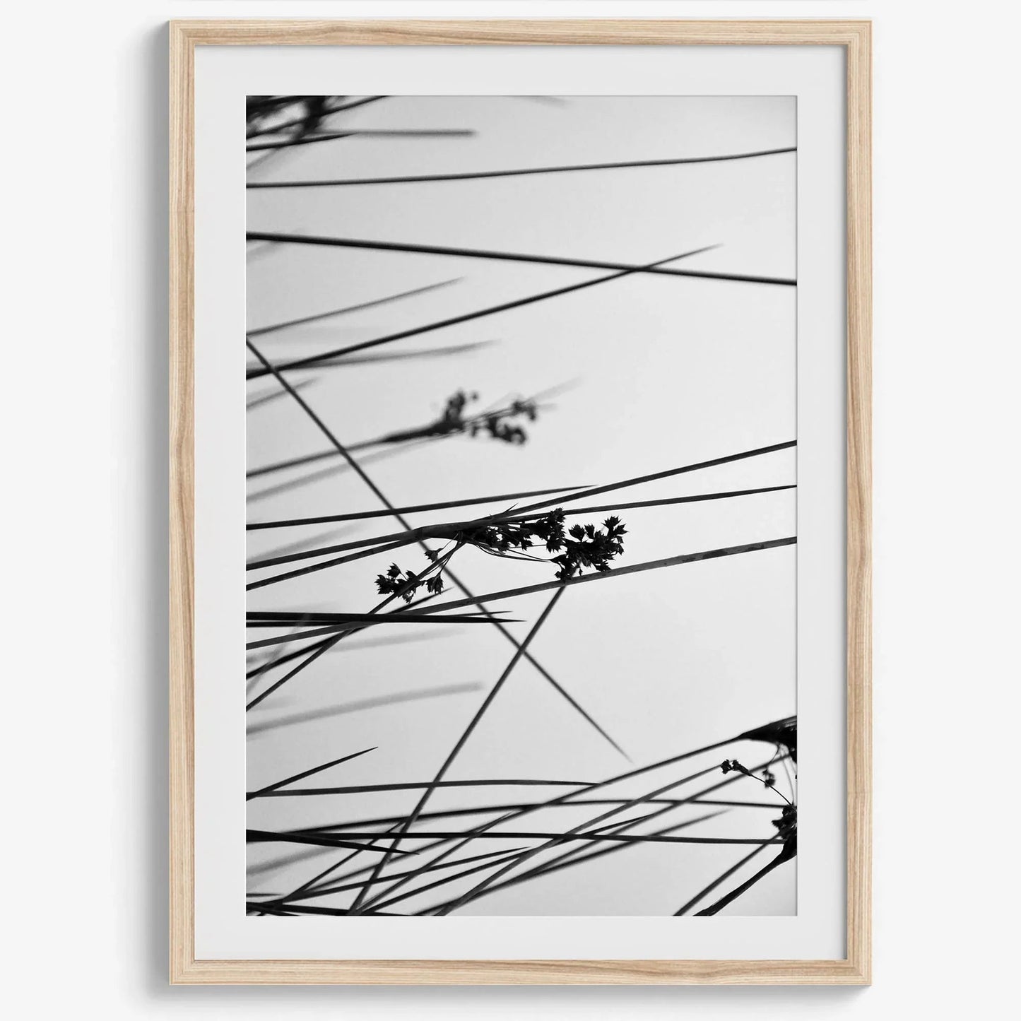 Delicate Geometry