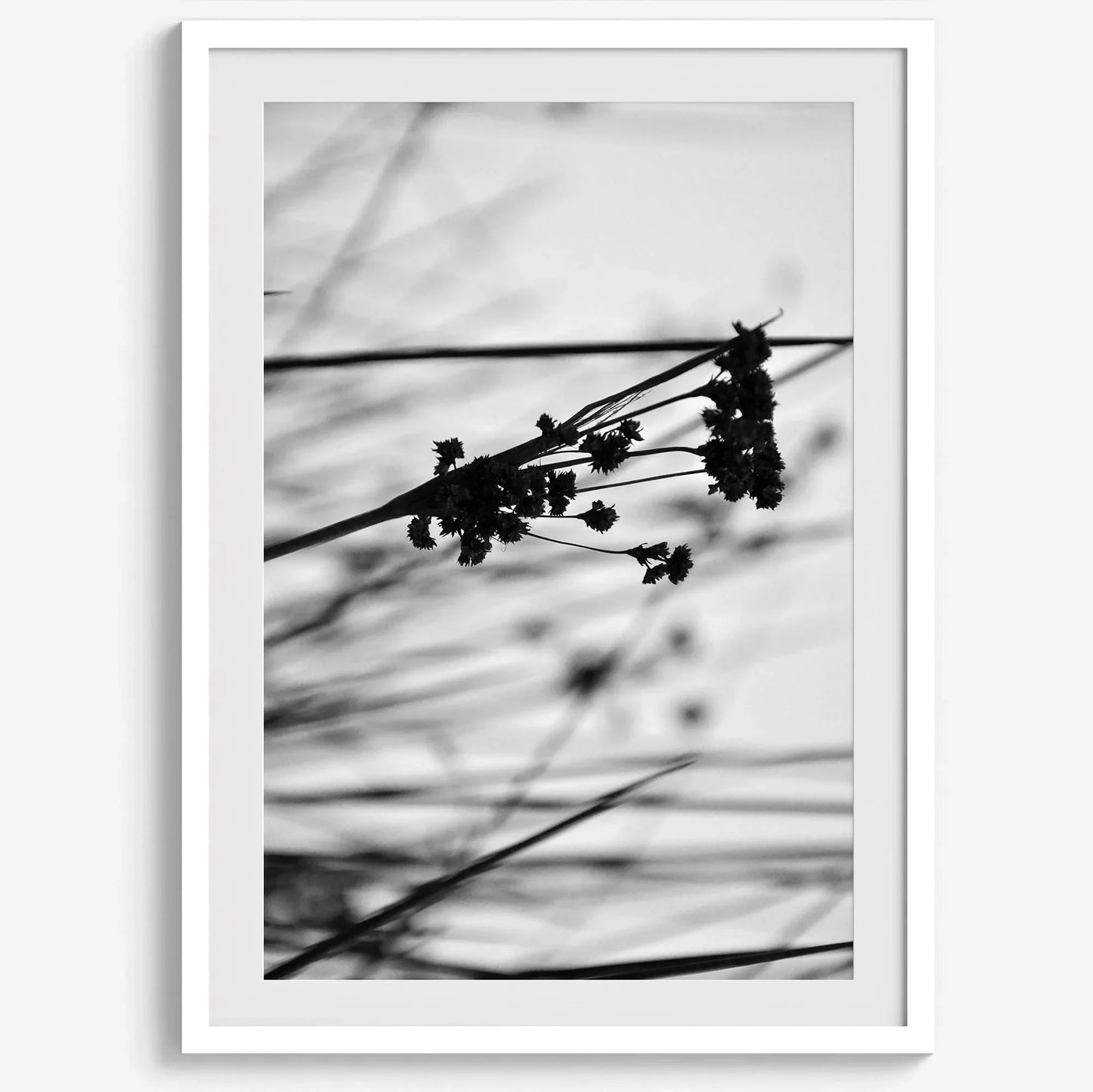 Delicate Geometry