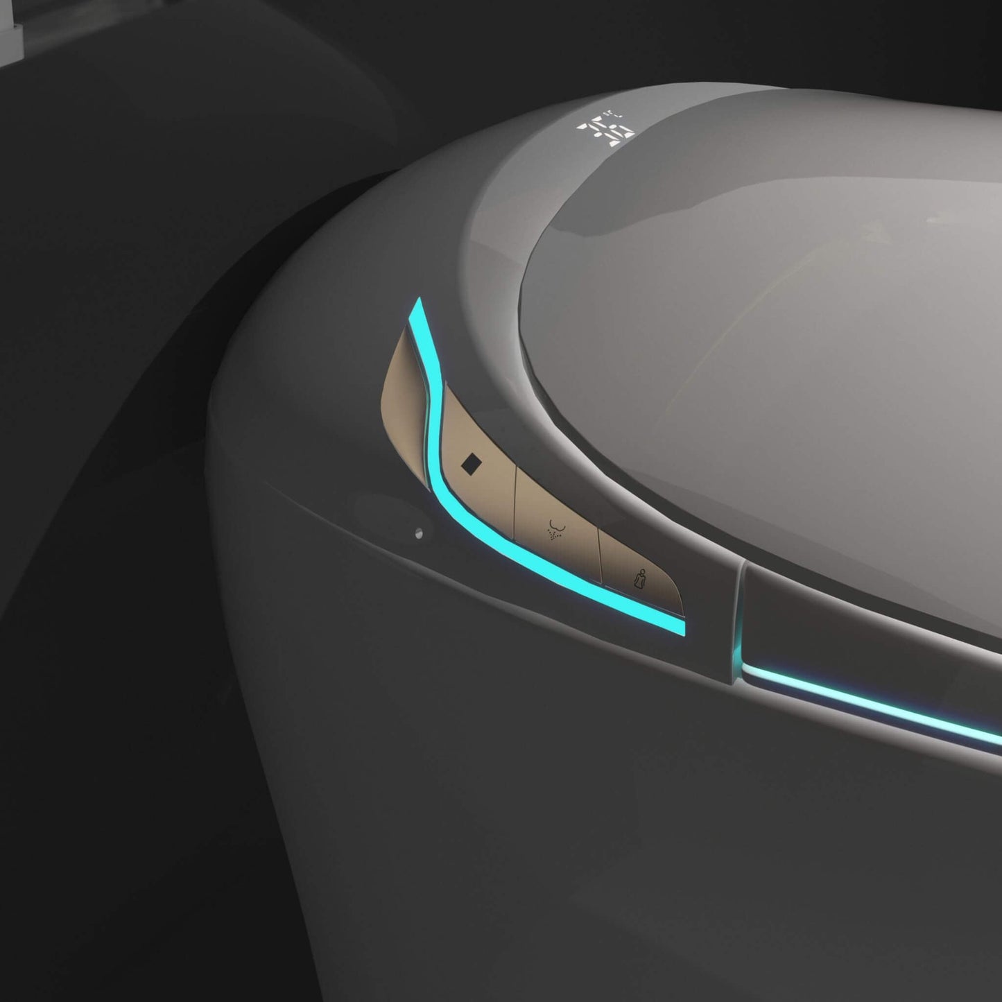 Smart One-Piece Toilet With Bidet, Foot Sensor, LED Display And Dryer (SAK80112)