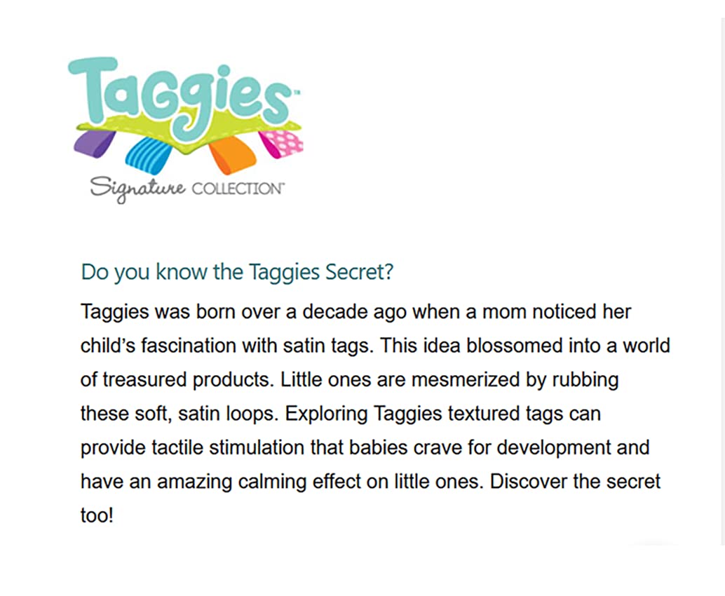 Taggies Soft Book - Starry Night Teddy