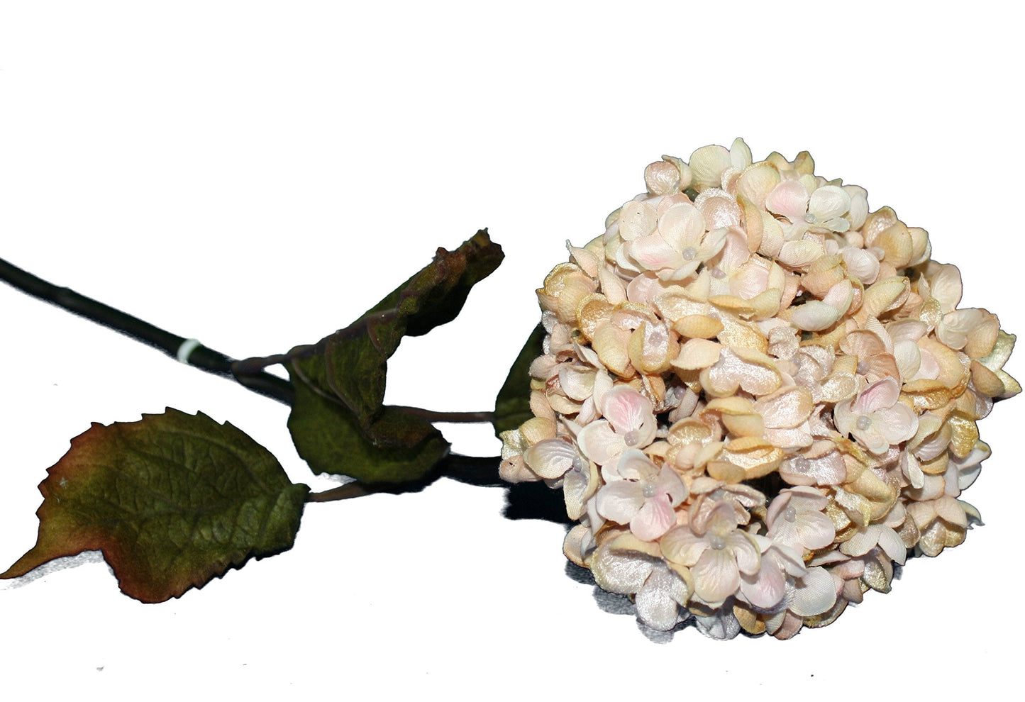 Blush Hydrangea - Pink