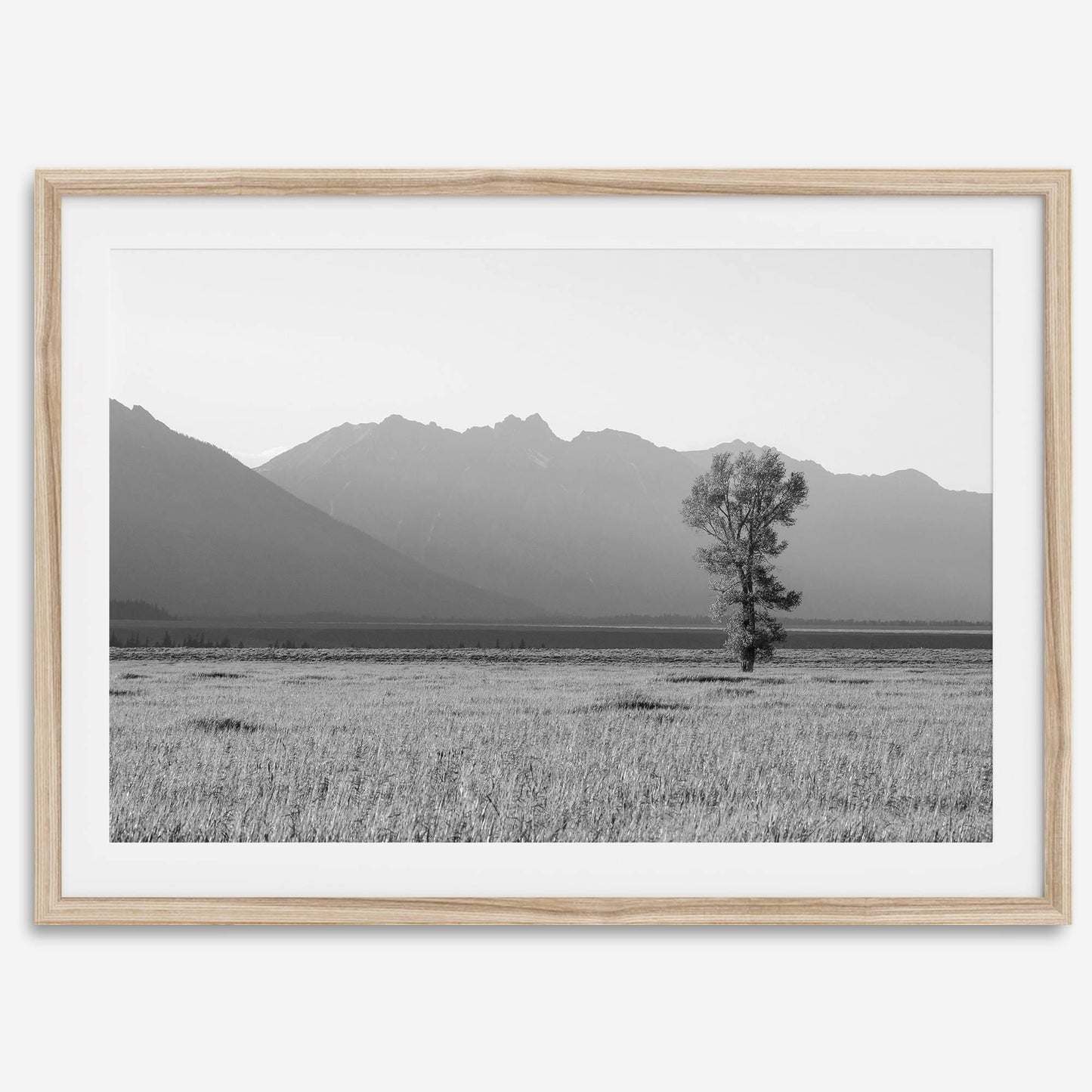 Teton Tranquility