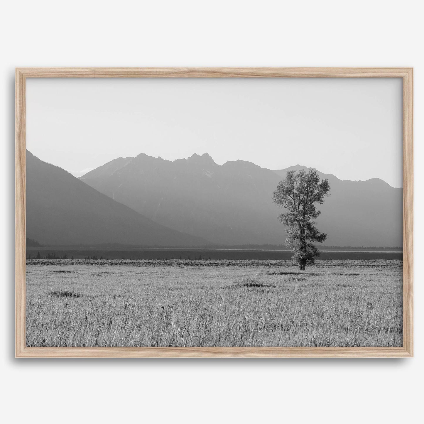 Teton Tranquility