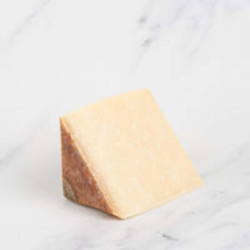 The Little Italy Collection
