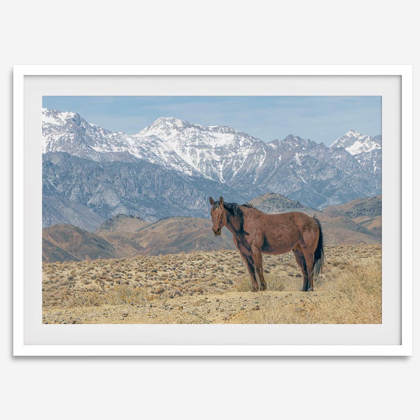 Wild West Grace