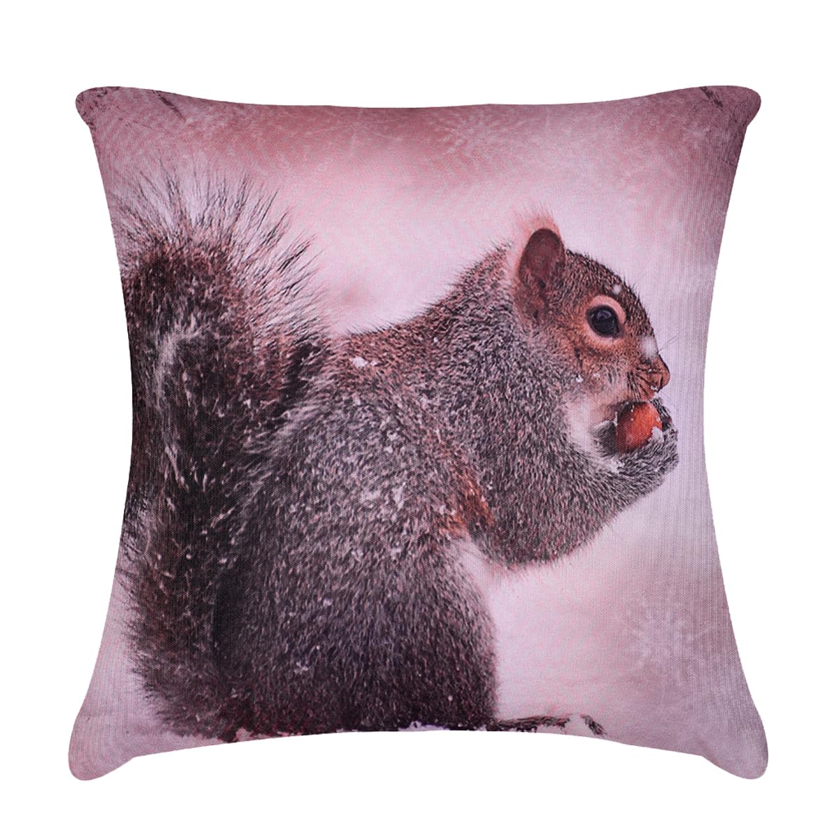 Squirrel Throw Pillow - 18x18 Inch Decorative Pillow Cover With Zipper Closure