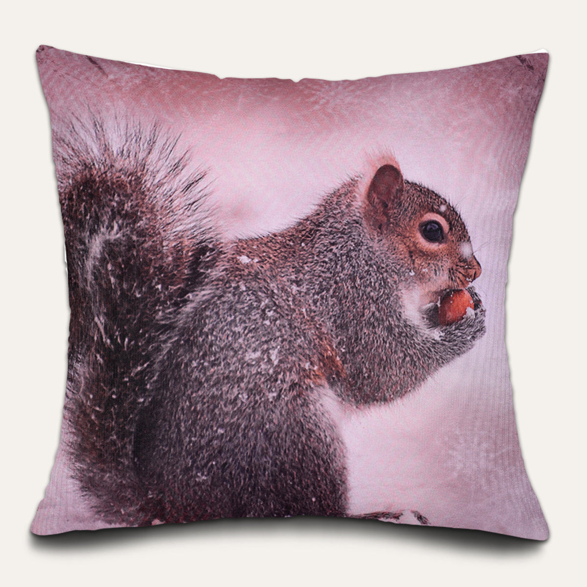 Squirrel Throw Pillow - 18x18 Inch Decorative Pillow Cover With Zipper Closure