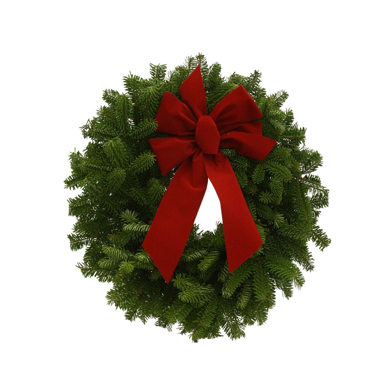 2 Pack of Balsam Fir Wreaths With Bow