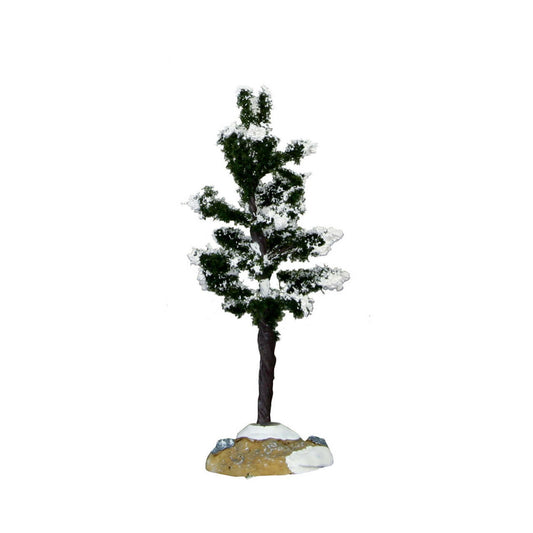 Confer Tree - 4.75 inch