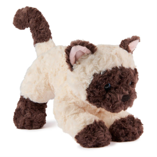 Bootsie Siamese Kitten