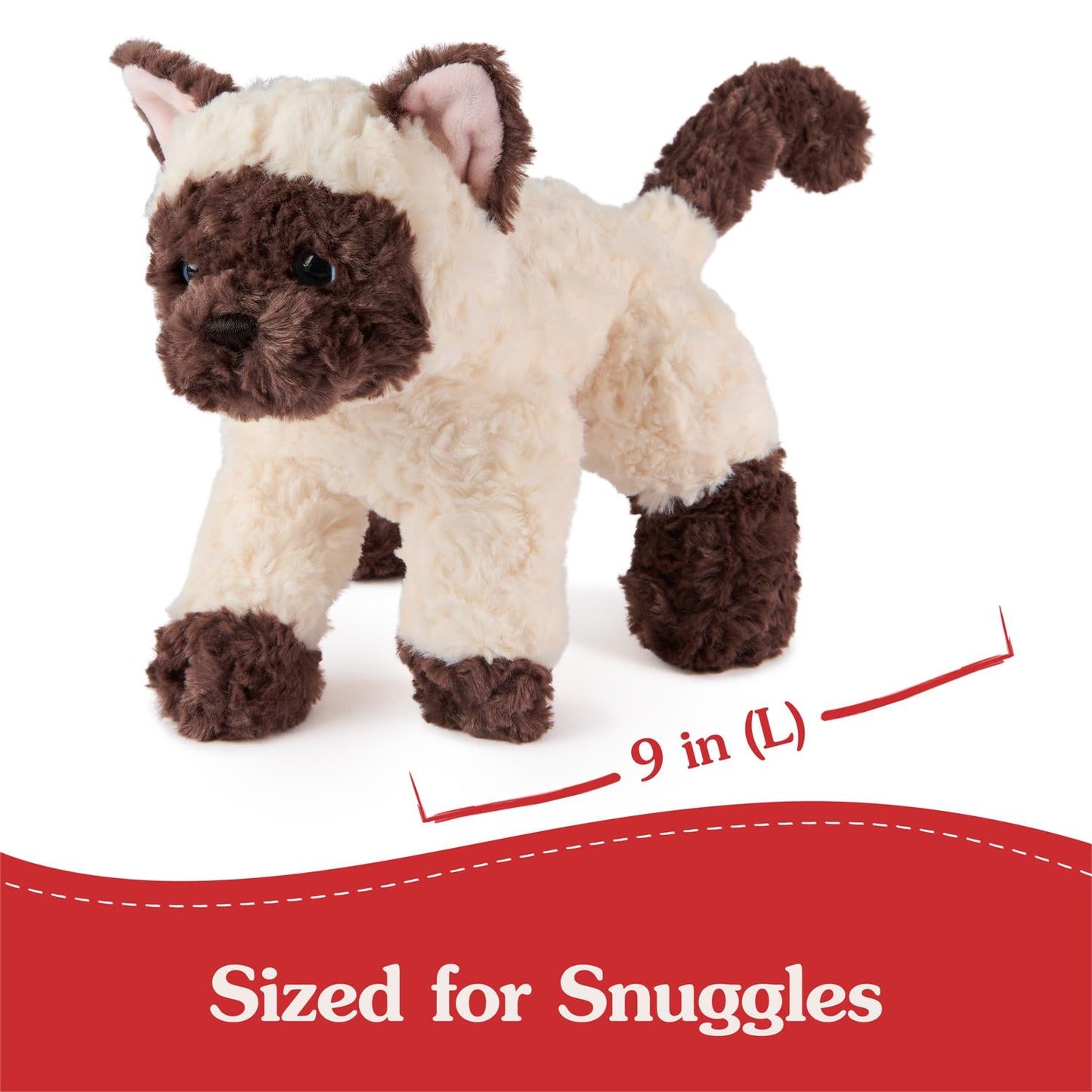 Bootsie Siamese Kitten