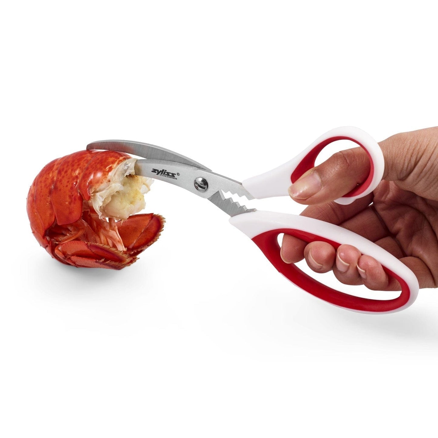 Zyliss Seafood scissors
